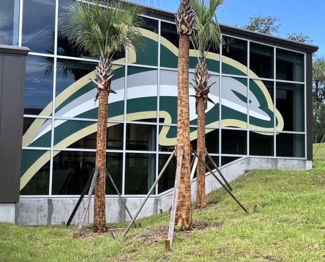 JU Basketball Facility window vinyl